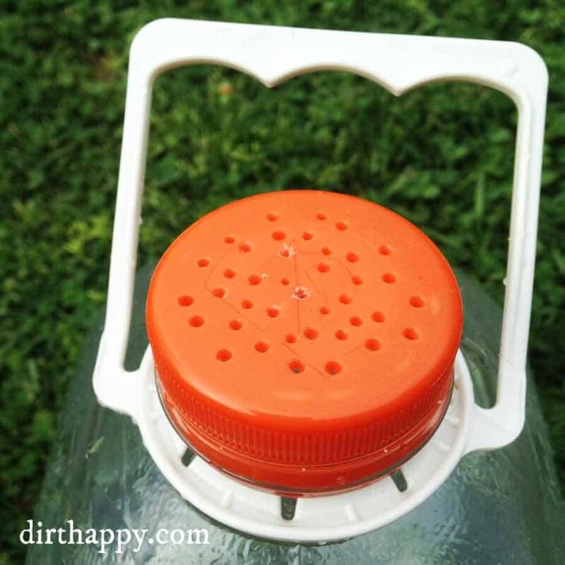 How to Make an Easy DIY Watering Can for Your Garden