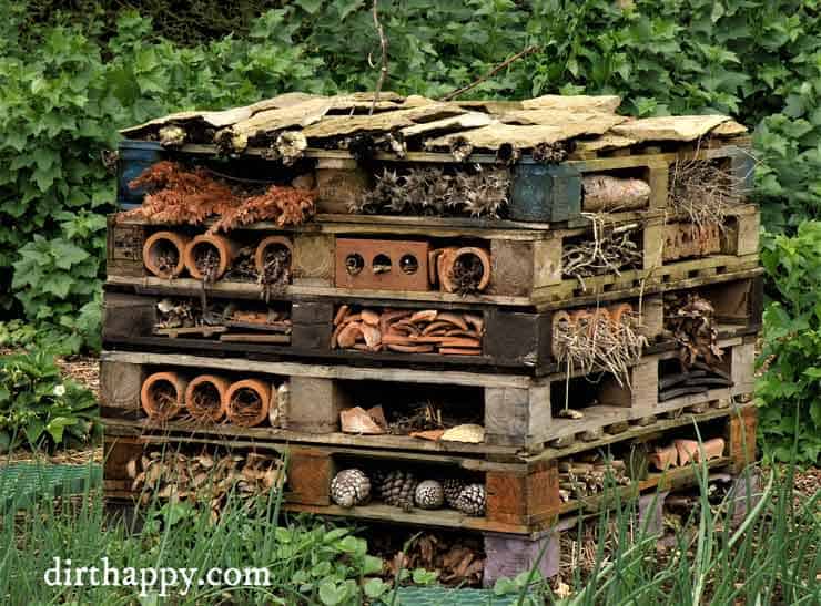 Bug Hotel