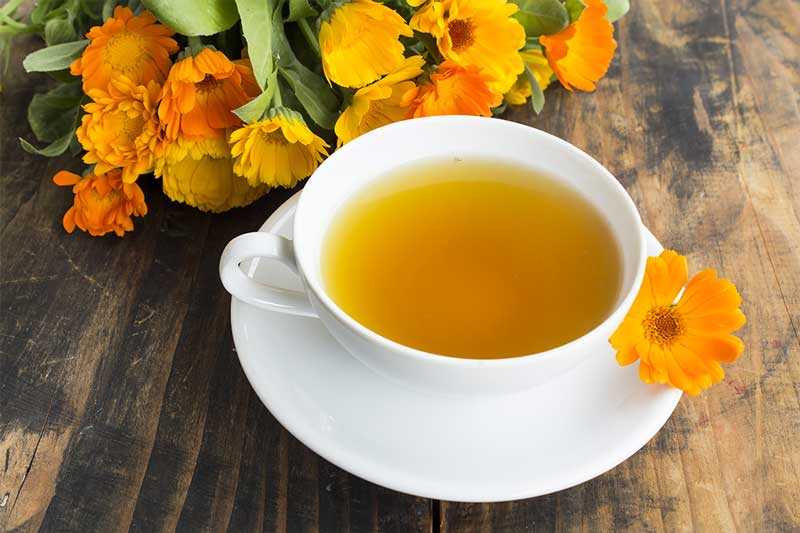 7 Reasons to Dye Your Own Fibers, Yarn & Fabrics 5 flower tea natural dyes