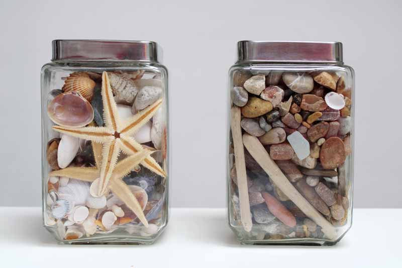 jar of natural rocks and seashells from the beach