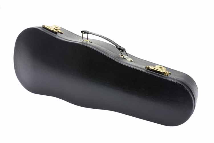 violin case