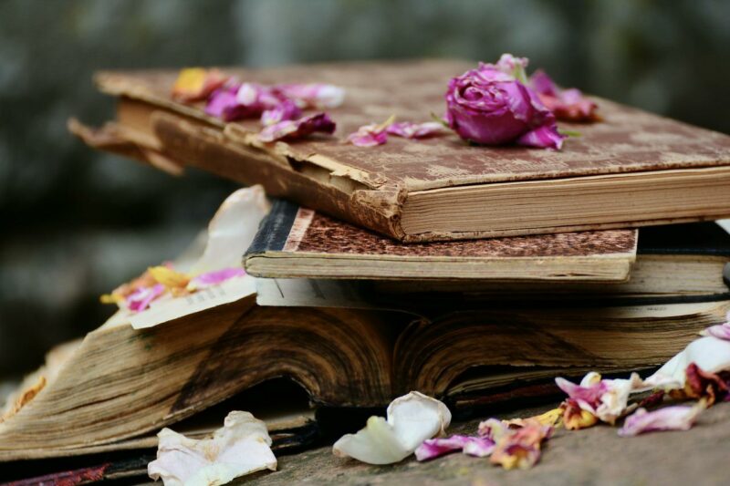 Antiquariat - old books