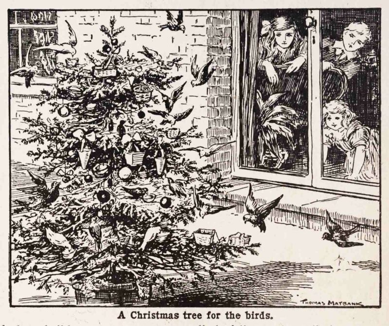 Christmas Tree For The Birds Bok Maybank Webres