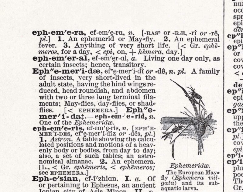 Ephemera Dictionary Page Pronounciation Web